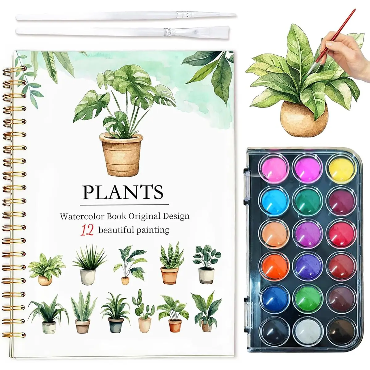 Plants - 18 Water Colors