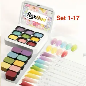 FlexOne 9 watercolor Pat Pat Ombre Gel Set palette or Nail Art ombre gel nail gel painting thick gel