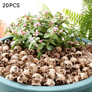 20pcs Medium Skull Heads, Mini Skull Pot Decor, Resin Skull Crafts, Halloween Garden Landscaping Bonsai Terrace Decoration