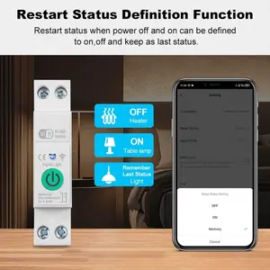 Tuya WiFi Smart Circuit Breaker 1P+N 63A Din Rail Switch with Electricity Statistics Remote Voice Control for Alexa Home