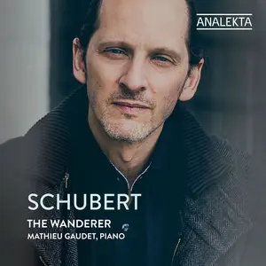 Mathieu Gaudet - The Wanderer  [COMPACT DISC - CD]