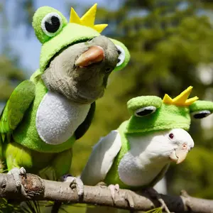 1pc Cute Frog Prince Pet Parrot Costume, Soft Fabric Bird Outfit, Creative Dress-Up Clothing for Parrots, Comfortable and Adorable Pet Apparel