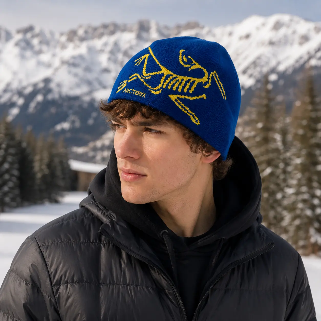 [BLUE] Arc'teryx Bird Head Toque - Frozen Peak - classic unisex winter beanie, breathable, comfortable blend of wool and recycled polyester, skiing, snowboarding, climbing & Outdoor Wear