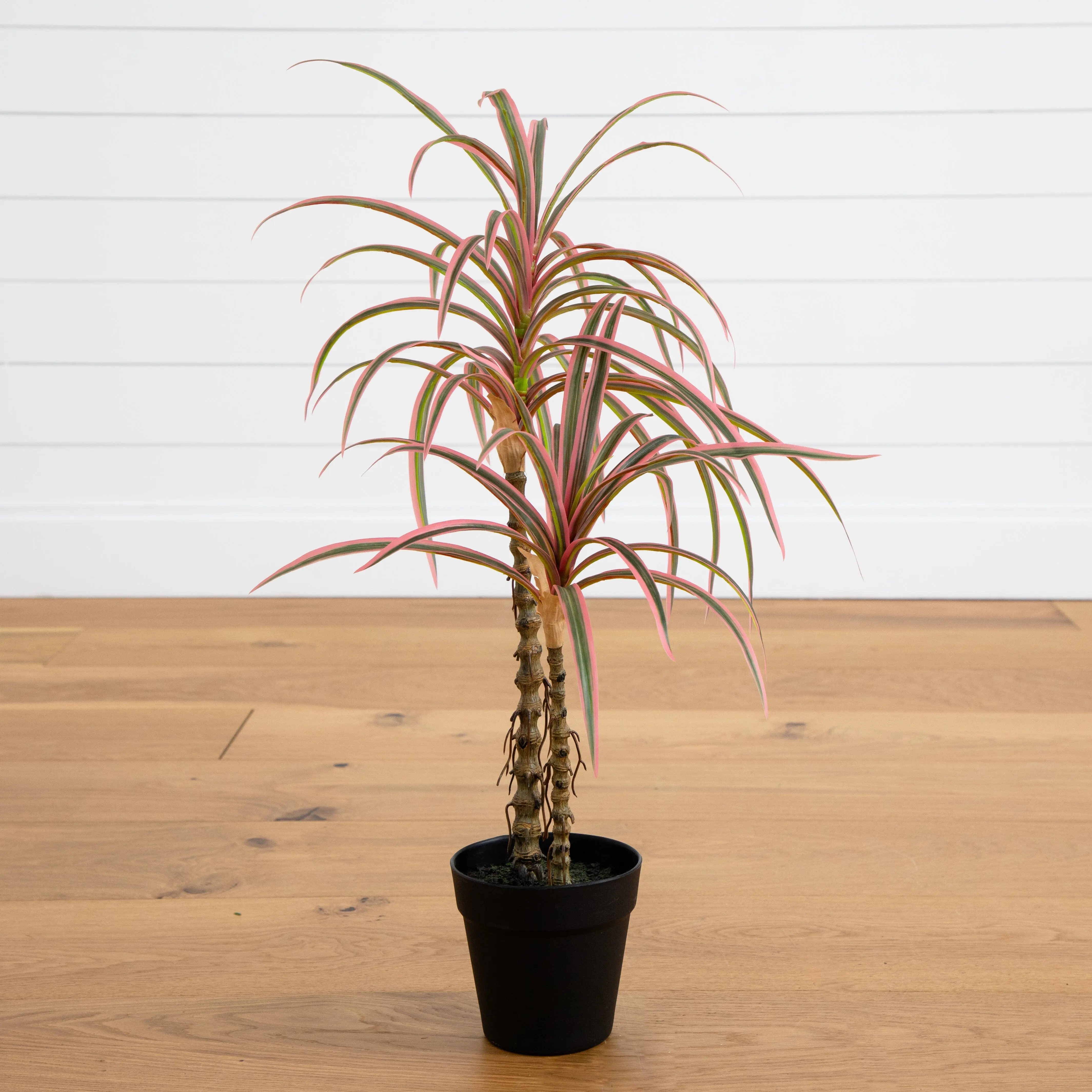 2ft Artificial Dracaena Marginata Tree with Pot - Indoor Plants, Decorative Ornaments for Room Accent Home Decor Piece