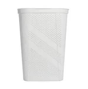 24" Plastic Hinged-Lid Rectangle Laundry Hamper, All Ages, White