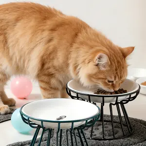 2pcs Ceramic Raised Cat Bowl Set • Includes 1 Easy-to-clean Elevated Ceramic Cat Food Bowl - Anti-spill Pet Bowl • Suitable for Cats - Durable, Reduces Neck Strain During Eating • The Perfect Gift for Cats • Raised Cat Bowl, Ceramic Pet Bowl, Neck