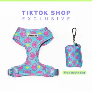 LuckyLuv Dog Harness - Adjustable & Breathable Dog Harness, Pink hearts Dog Harness