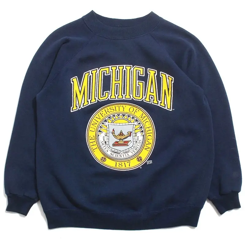 Vintage University of Michigan Arch Seal Hanes Crewneck