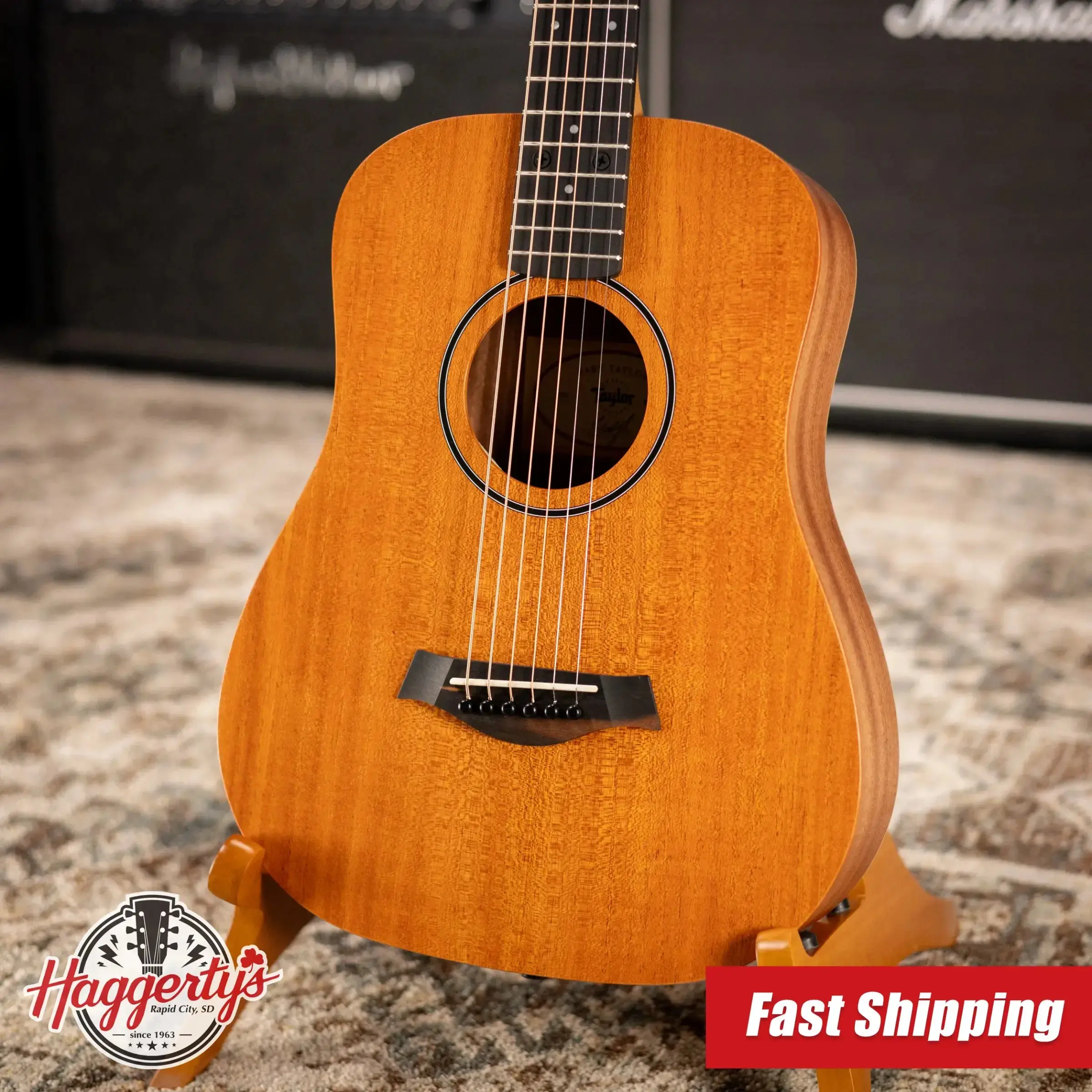 Taylor BT2 Baby Taylor Acoustic Guitar with Gig Bag