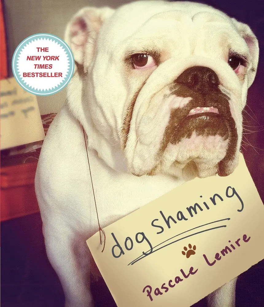 USED-Dog Shaming by Lemire, Pascale (Paperback)