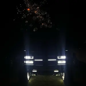 14 Inch Sequential Grill Strips (pack of 2)