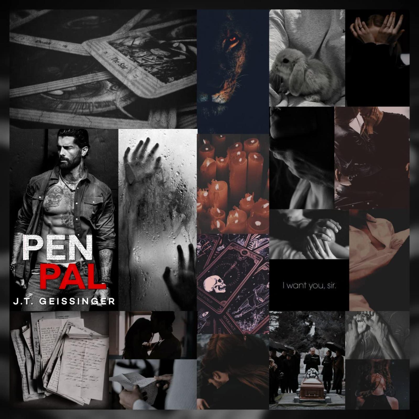 J.T. Geissinger Pen Pal Standard Edition Novel Paperback Book - Engaging Story for Readers