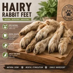 Rabbit Feet