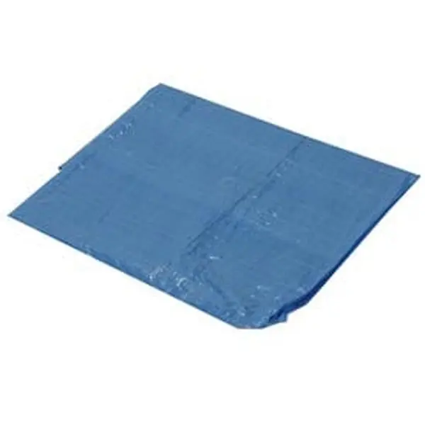 Harpster of Philipsburg B335708 Light Duty Tarp, 8x10 ft, 2.9 oz, Blue, Heat Sealed, Waterproof, Wear-Resistant, 1.65 Lbs, Camping Gear
