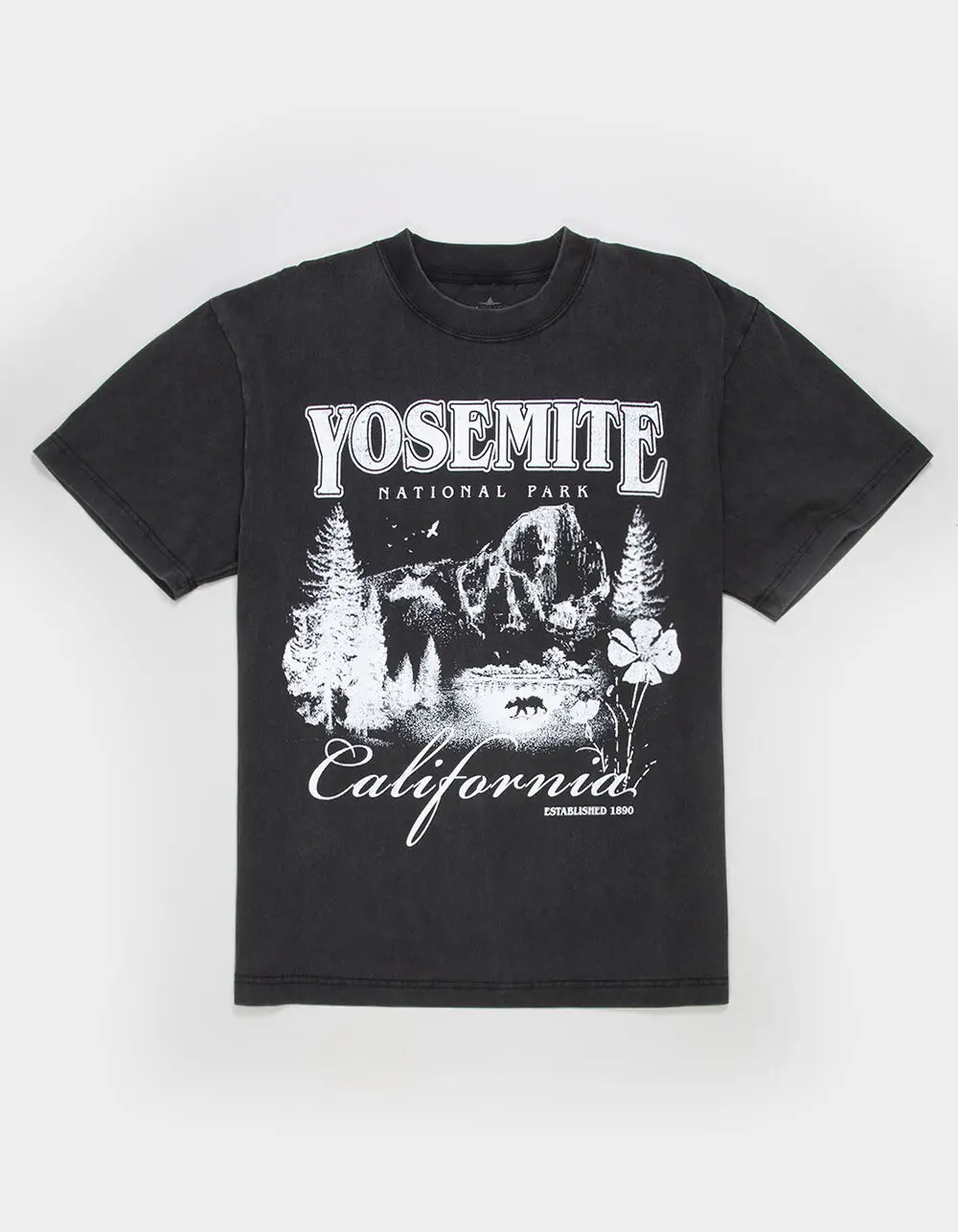 RSQ Mens Yosemite Boxy Tee