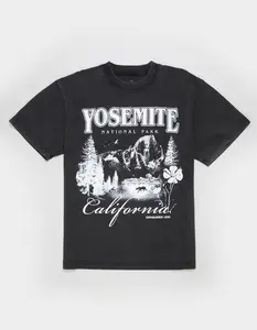 RSQ Mens Yosemite Boxy Tee