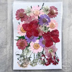 Red & Pink Dried Flowers