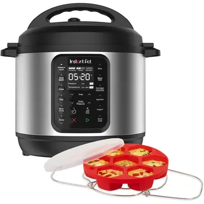 Quinoa in The Instant Pot TikTok Shop