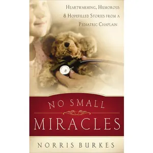 No Small Miracles: Heartwarming, Humorous, and Hopefilled Stories from a Pediatric Chaplain