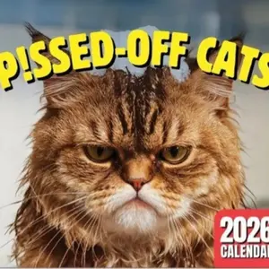 2026 "Peed-Off Cats" Wall Calendar – Funny Meme-Style Monthly Calendar for Cat Lovers, Perfect for Home or Office, Tear Off Calendar