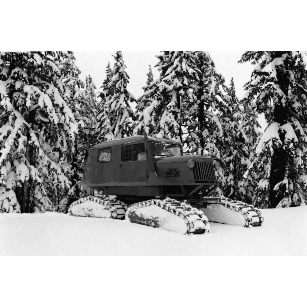 Snow Cat Vintage Photo Poster Print Sno Ski Snowboard Mountain Wall Art Decor
