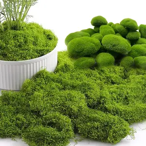 Fake Green Moss for Plants Indoor, Fake Moss for Crafts Preserved for DIY Decorative mossTable Centerpieces Decor Fairy Garden Floral Wedding ，DIY Floral Arrangements & Party Decor (Decorative Faux Moss) Ornaments, Decorative Fake Greenery