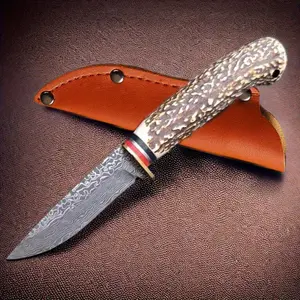 1pc stainless steel blade, safe and non-toxic bone-like handle, Stainless Steel Tool, Outdoor Camping Knives, suitable for cutting meat, vegetables and peeling fruits. Suitable for outdoor camping and kitchen use