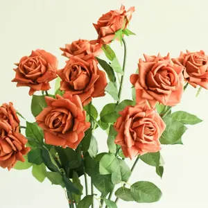 Burnt orange roses