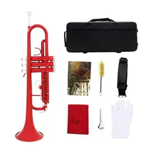 Bb Standard Euphonium Set, Euphonium Set for Beginners & Advanced Students, Musical Instrument Set for Music Education