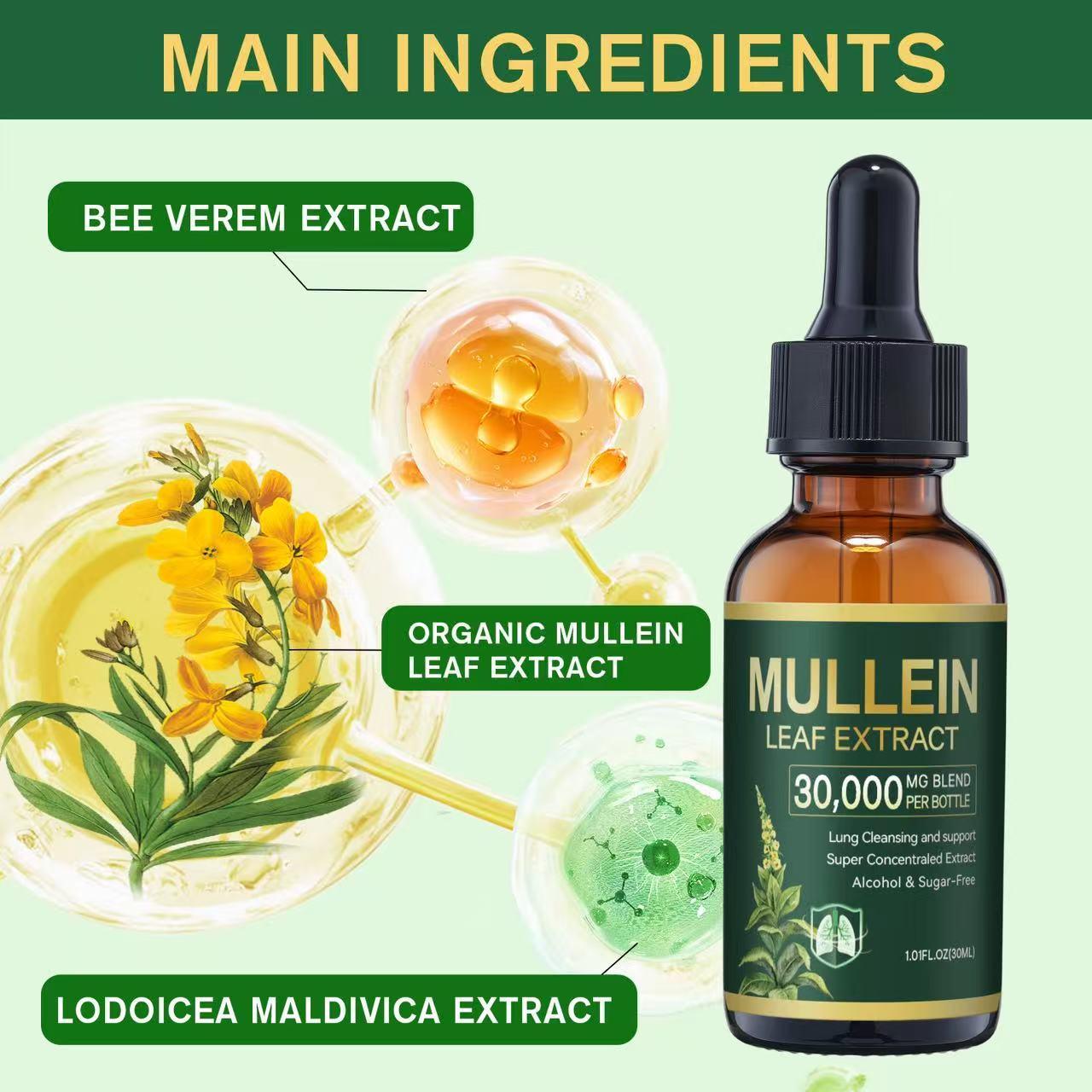 Organic Mullein Leaf extractLung cleansing drops relieve breathing difficulties caused by colds and respiratory fatigue, reduce throat and nasal discomfort, make breathing smooth and comfortable, and dilute phlegm with natural ingredients.