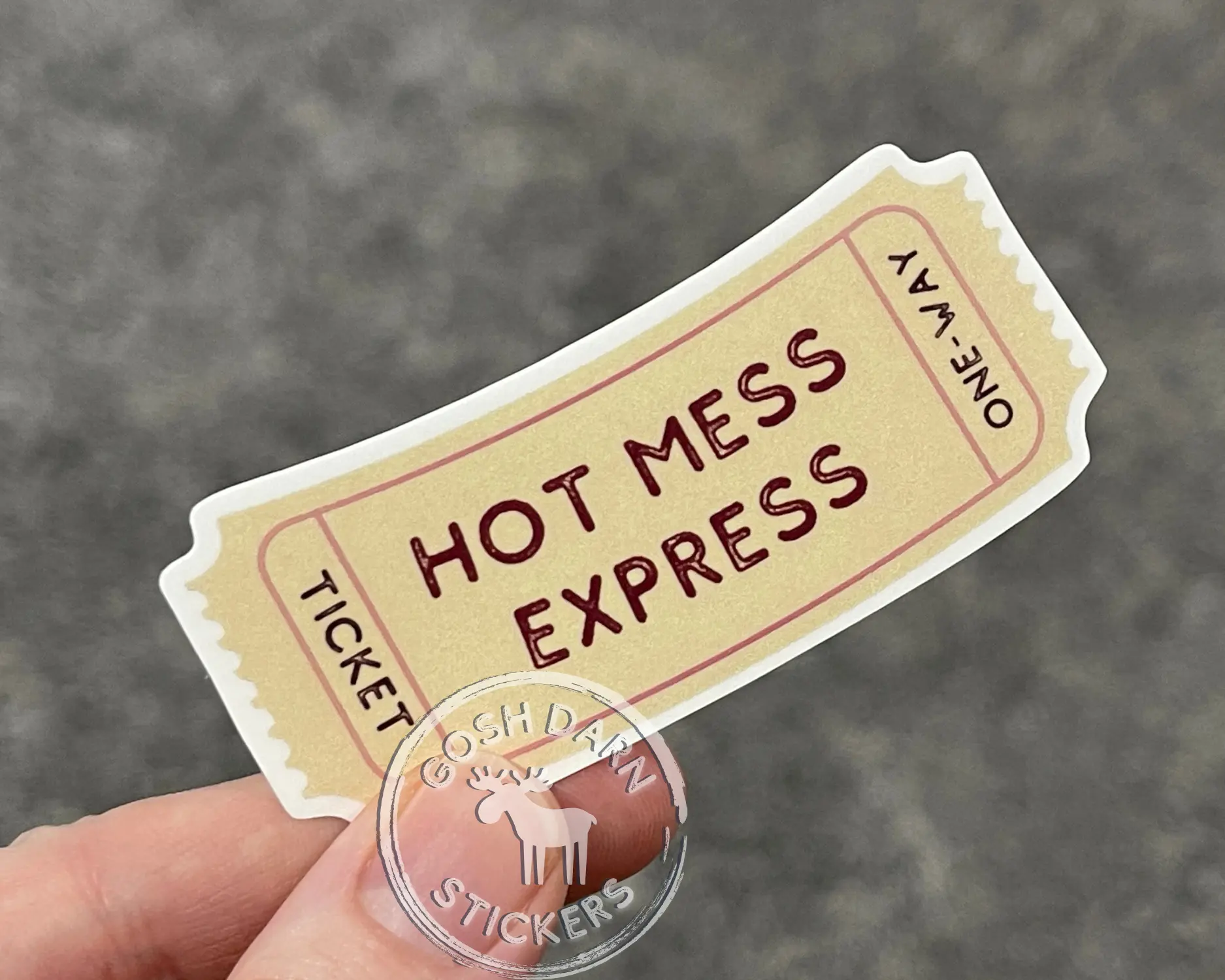 Hot Mess Express Sticker Nurse Gift Sticker Gift Sticker for water bottles stanley sticker hydroflask sticker best friend gift for coworkers