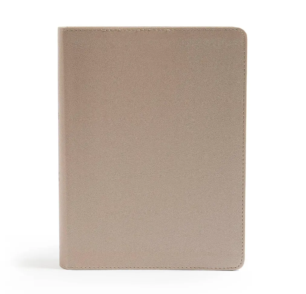 CSB She Reads Truth Bible, Champagne Gold LeatherTouch, Black Letter, Full-Color Design, Wide Margins, Journaling Space, Devotionals, Reading Plans, Single-Column, Easy-to-Read Bible Serif Type