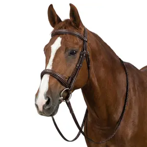Henri de Rivel Pro Mono Crown Fancy Bridle with Patent Leather Piping and Laced Reins