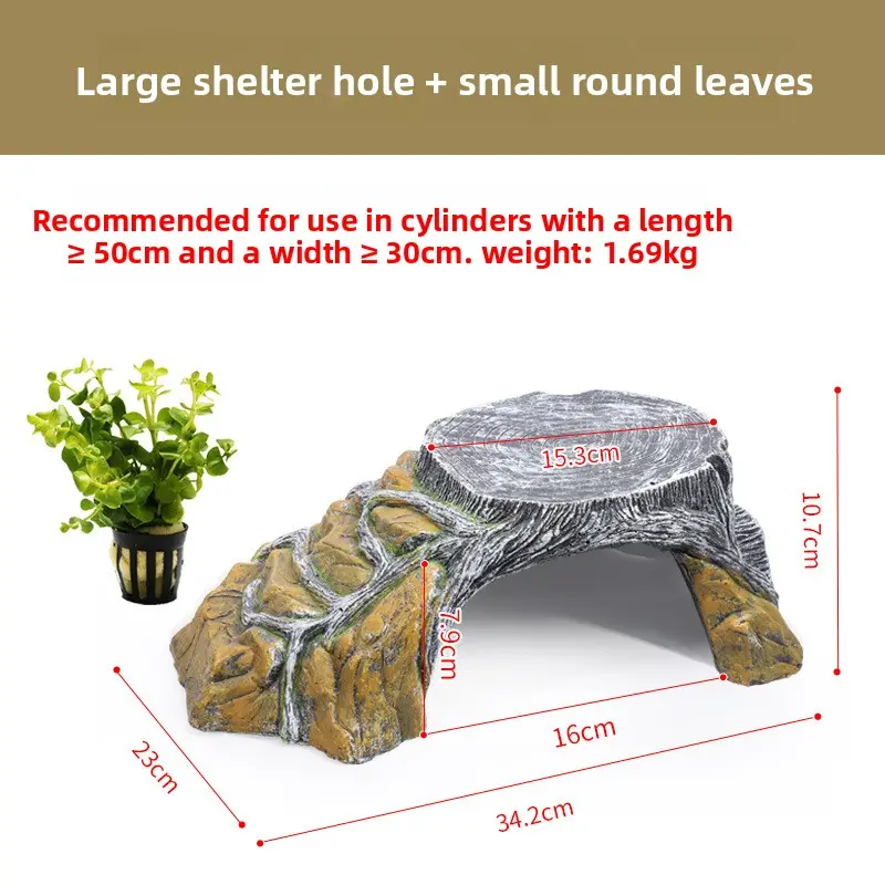 [Sun Platform] Large + Small Round Leaf Aquatic Pl