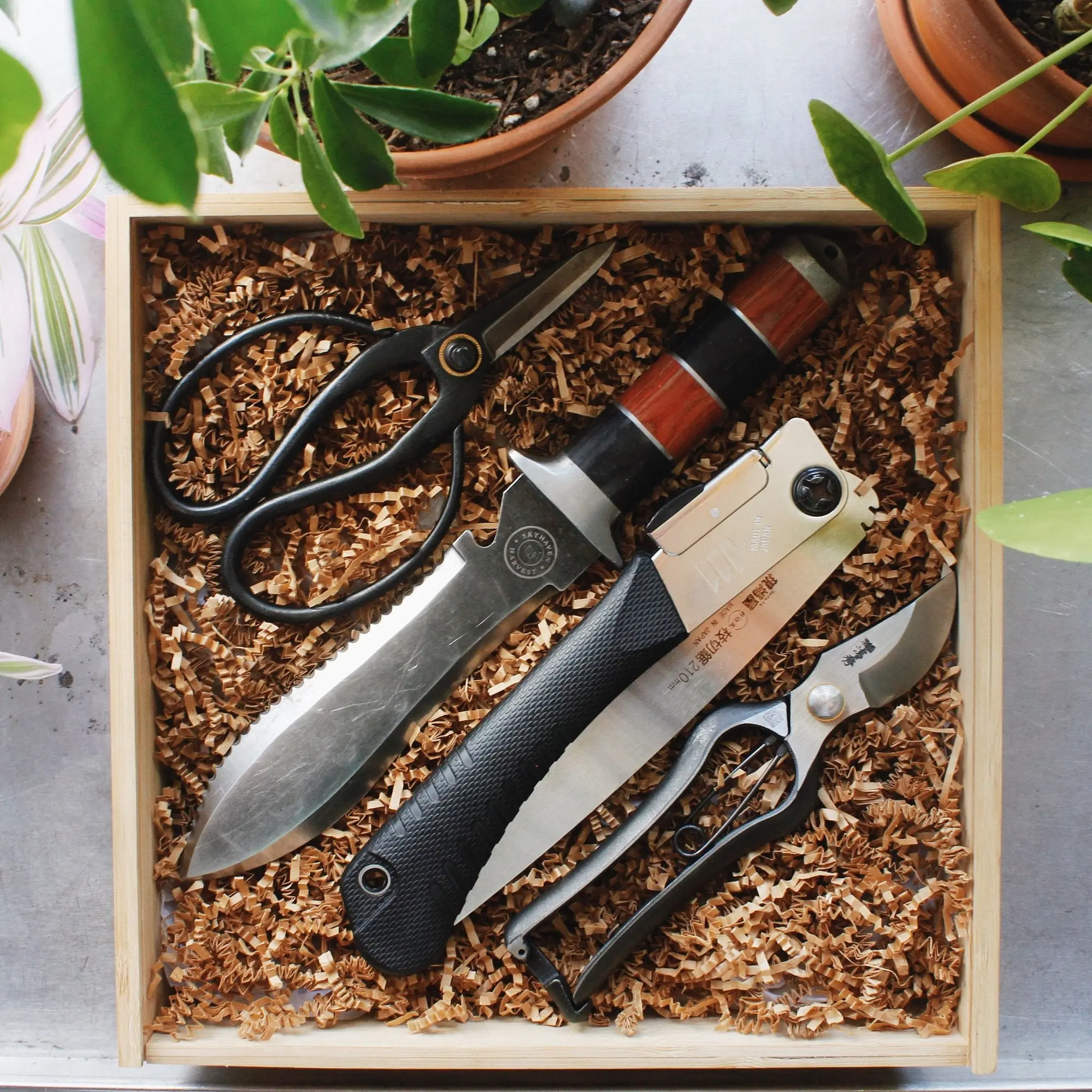 Complete Gardener's Kit: Ashinaga Shears, Hori Hori Trowel, Japanese Hand Saw, and Japanese Pruner Set - Ideal Gift for Green Thumbs!