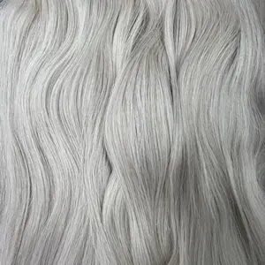 #NG Natural Gray Ash Hair - 10 Pieces