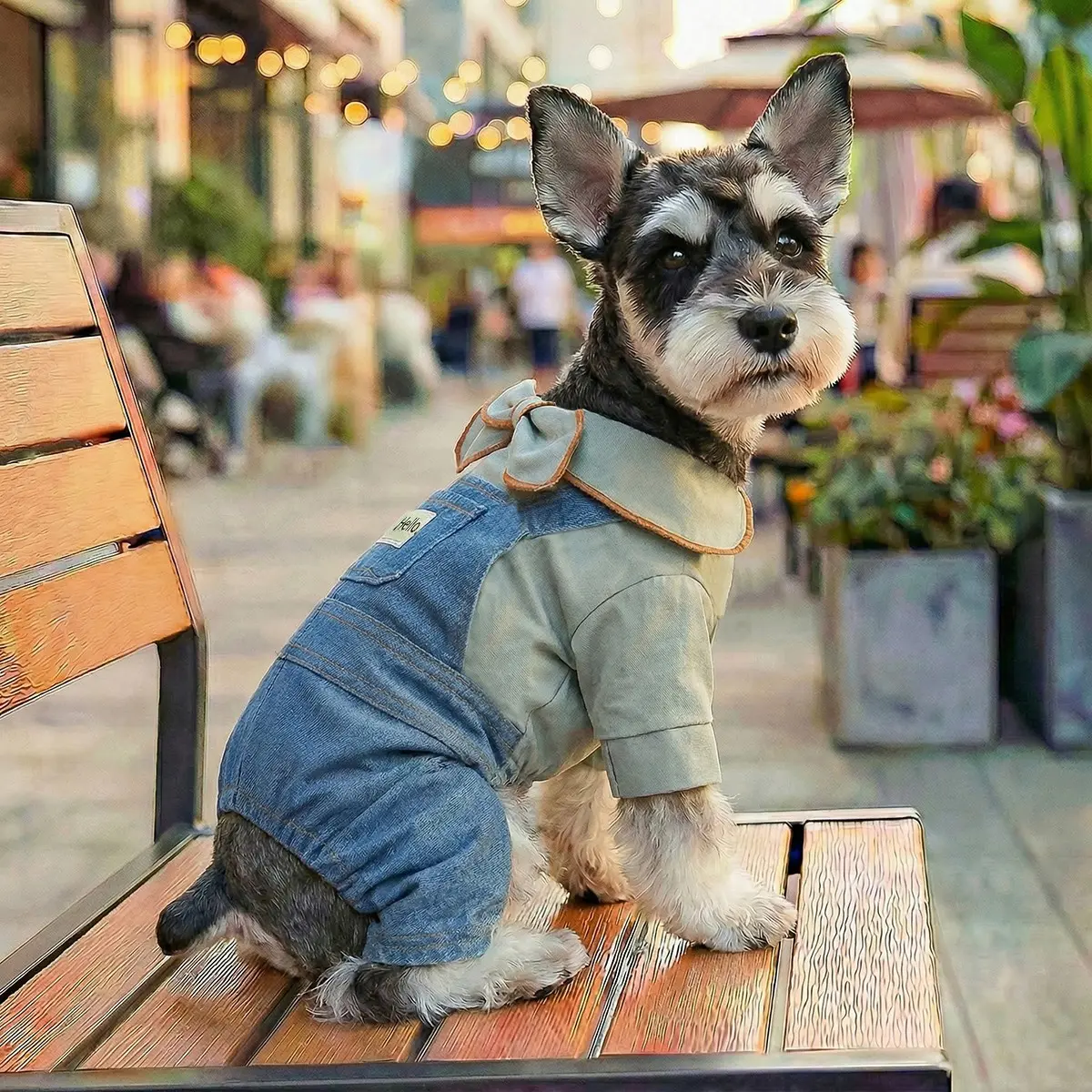 Bow Tie Harness Pants for Pets, Four-Leg Clothes Suitable for Dogs and Cats, Teddy Bichon Pomeranian Miniature Dog Wear, Costumes, Puppy Clothes, Outfits