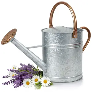 Plexon Large Metal Watering Can Outdoor 2 Gallon, Plant Flower Gardening Garden Watering Can Pot, Bronze Galvanized Steel Handles and Removable Spray Spout, Silver
