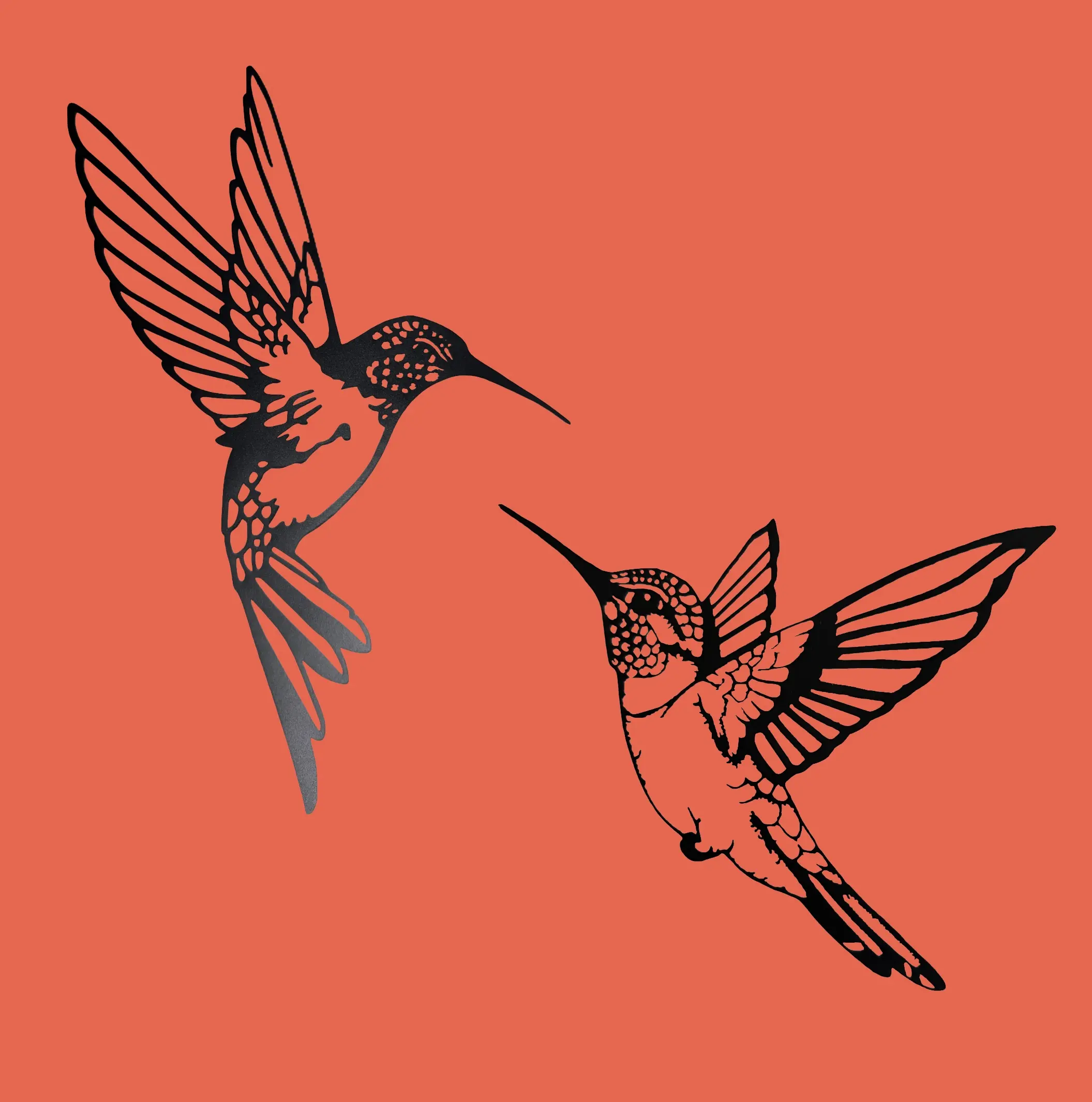 Humming Bird, Beija-Flor, Colibri, Vinyl Decal