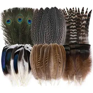 48pcs Natural Feathers Assorted for Crafts, Peacock, Pheasant, Turkey, Duck, DIY Jewelry, Wedding Decorations, Hat Making, Home Party, Craft Projects, Halloween Costume Accessories, Feather Masks, Spotted Feathers for DIY, Home Decor, Art Projects