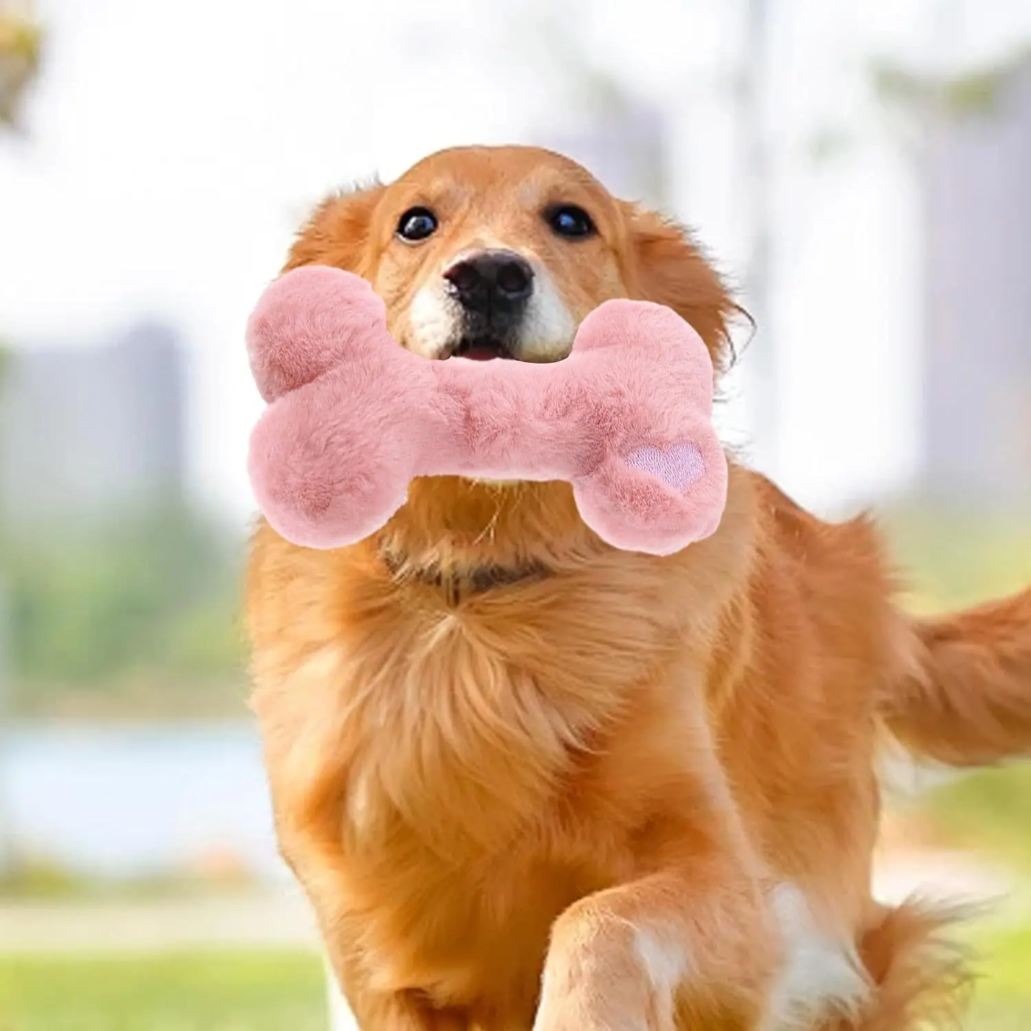 Heart Bone Design Pet Chew Toy, Durable Squeaky Plush Dog Toy, Interactive Tough Chewer Teeth Grinding Toy for Pets, Fun and Engaging Pet Supplies