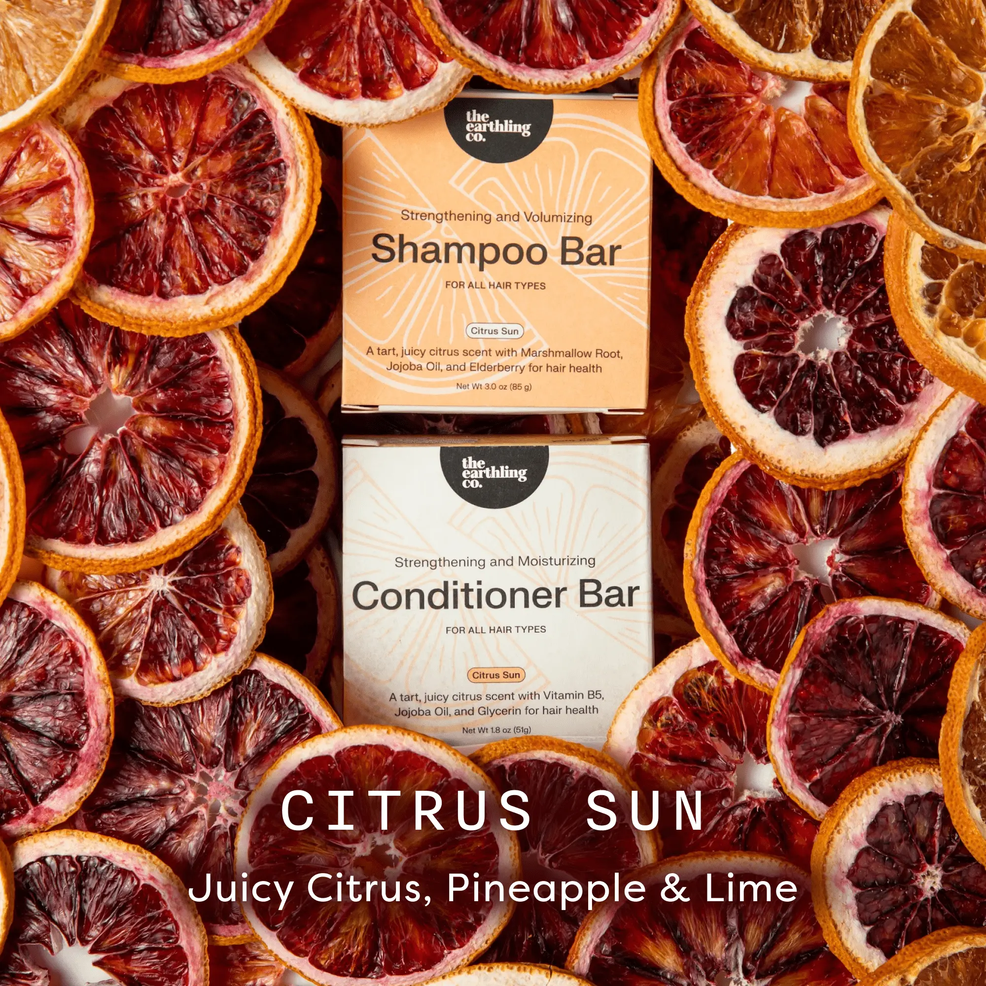 Citrus Sun