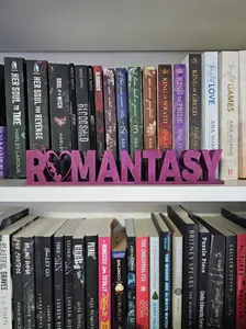 Romantasy Sign, Romantasy Plaque, Book Decor, Shelf Decor, Bookish, Book Trope Sign, Book Genre Sign,