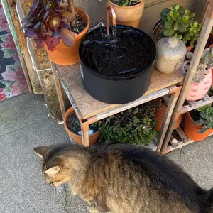 MISFANS Silent Cat Water Fountain 2.1L Pet Water Fountain Ultra-Quiet Copper Spout Night Light 6-Layer Filter Soft Blue LED Automatic Gravity Feeder|Wired plug-in model