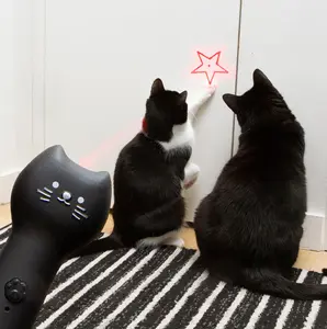 Rechargeable Pounce & Play Cat Laser
