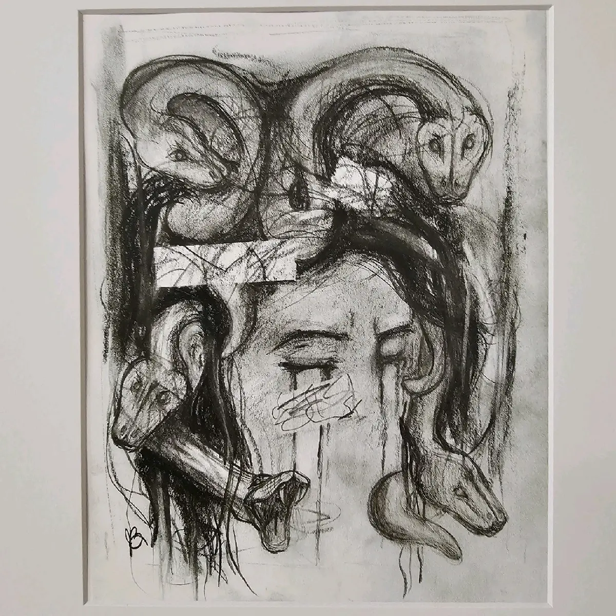 Medusa 8x10 print