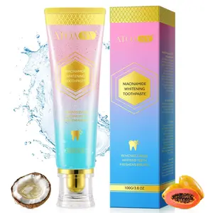 ATOANY Niacinamide Enzyme Toothpaste 100g, Effective Plaque and Stain Removal, Cavity Protection, Mint Flavor, Ideal for Sensitive Gums, Niacinamide Brightening Toothpaste