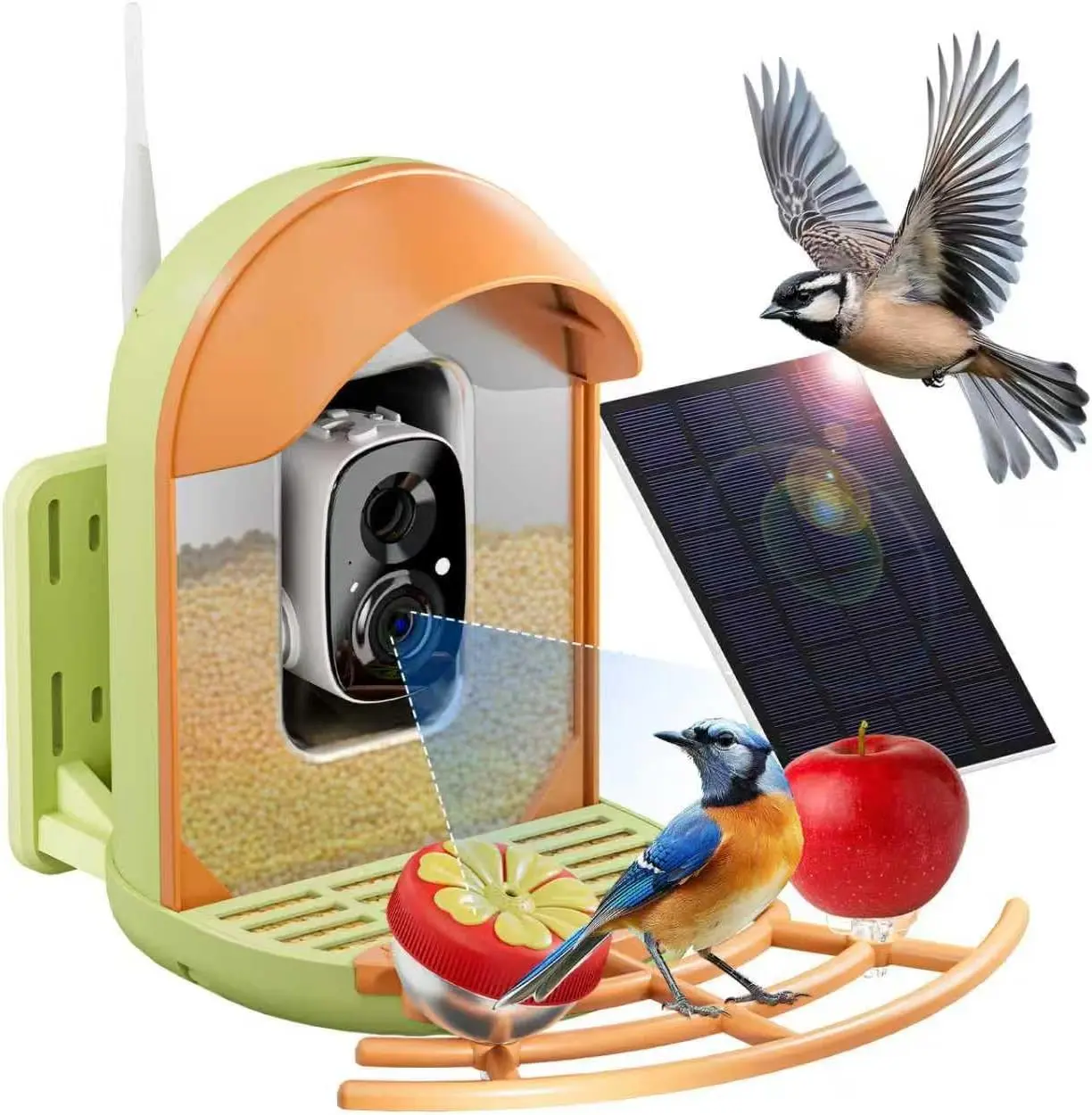 Bird Feeder with Camera, Smart Birdfeeder with Cam Solar Powered, 2K HD ...