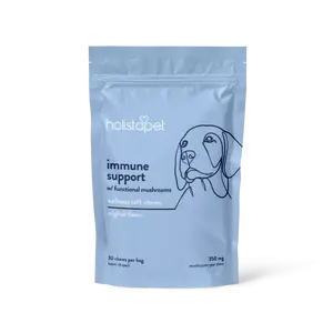 Immune Support + Functional Mushroom Soft Chews for Dogs