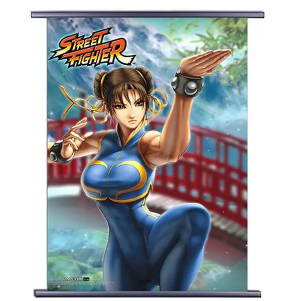 Street Fighter Chun Li Video Game Wall Scroll Poster Officially Licensed Brand New